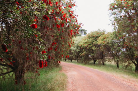 Margaret River Holiday Cottages - Port Augusta Accommodation 17