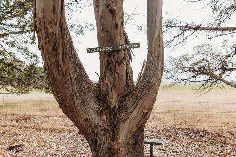 Margaret River Holiday Cottages - Port Augusta Accommodation 20