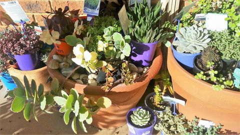 Quest Yelverton Kalgoorlie - Port Augusta Accommodation 11
