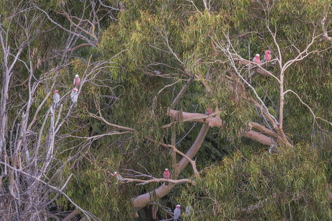 12/26 Yallingup Beach Road - Port Augusta Accommodation 19