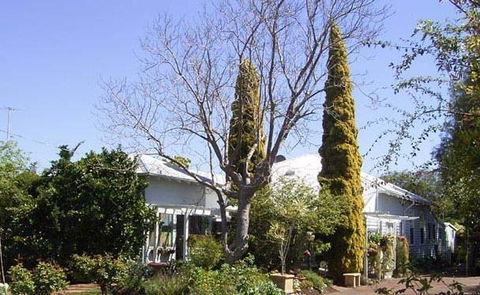 Jacaranda Guest House - Port Augusta Accommodation 37