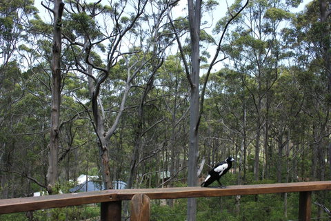 Ark Of Denmark - Port Augusta Accommodation 11