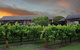 Novotel Vines Resort Swan Valley - thumb 41