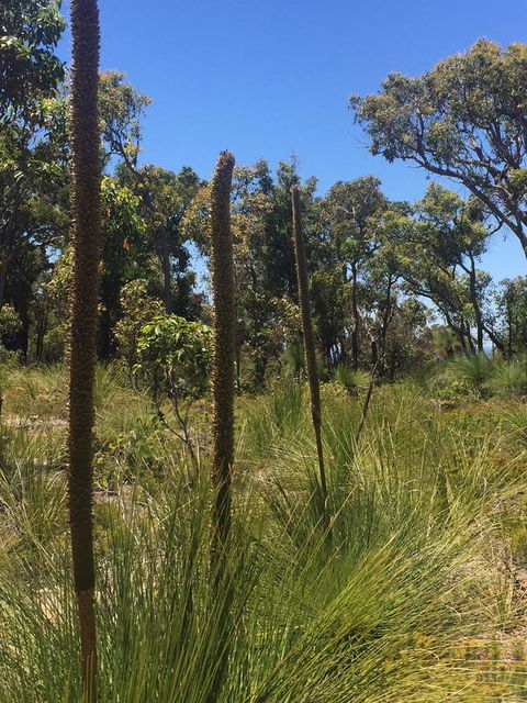 Eagle Bay House - Port Augusta Accommodation 15