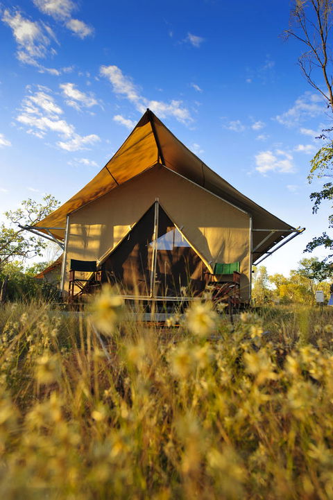 Bungle Bungle Wilderness Lodge - Port Augusta Accommodation 2