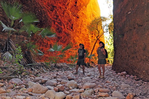 Bungle Bungle Wilderness Lodge - Port Augusta Accommodation 13