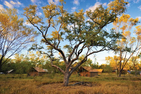 Bungle Bungle Wilderness Lodge - Port Augusta Accommodation 11