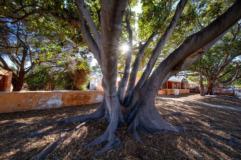 Discovery Resorts - Rottnest Island - Port Augusta Accommodation 23