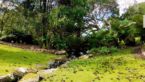 43 Degrees Bruny Island - Port Augusta Accommodation 8
