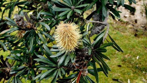 43 Degrees Bruny Island - Port Augusta Accommodation 11