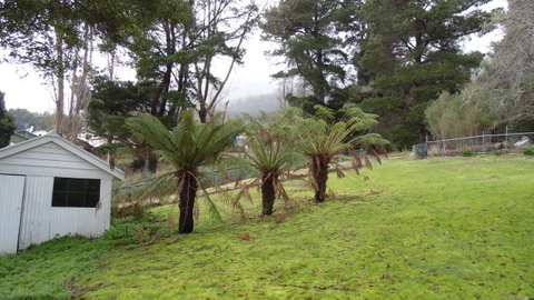 Maydena Chalet - Port Augusta Accommodation 44