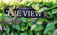 Belton Apartments-Hedge Cottage - thumb 16