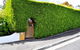 Belton Apartments-Hedge Cottage - thumb 13