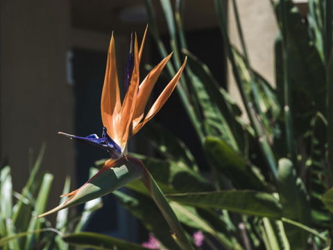 Russell House - Port Augusta Accommodation 2