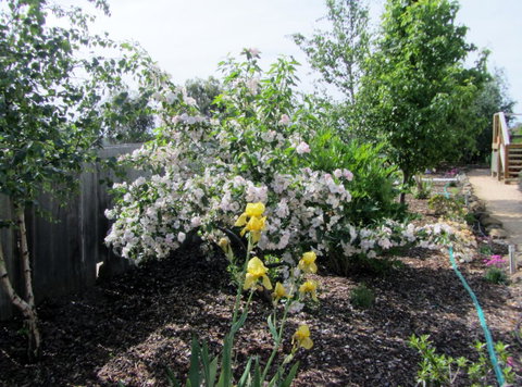 Elm Trees Accommodation @ Ross - Port Augusta Accommodation 7