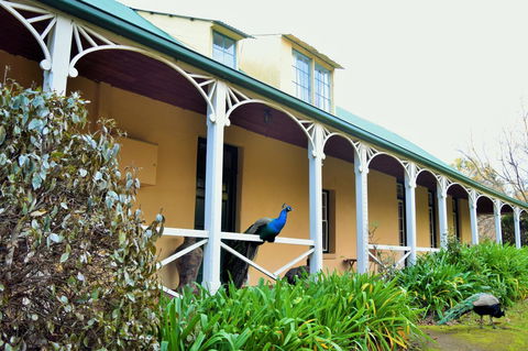 Cleburne Homestead - Port Augusta Accommodation 29