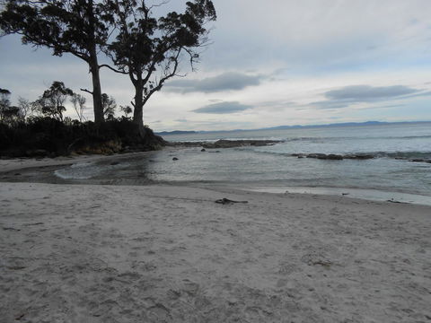 Bruny Ocean Cottage - Port Augusta Accommodation 7