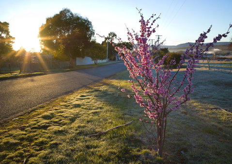 The Storekeeper\'s - Port Augusta Accommodation 14