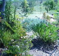 Old Miners' Cottages Bed and Breakfast - Port Augusta Accommodation