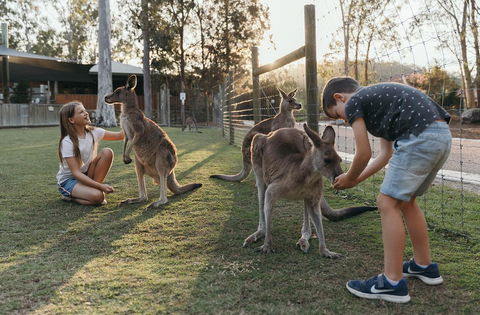 Paradise Country Farmstay - Port Augusta Accommodation 1