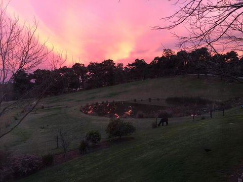 Raynella Alpaca Farmstay - Port Augusta Accommodation 1