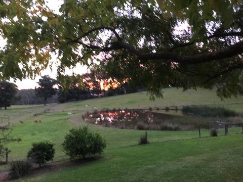 Raynella Alpaca Farmstay - Port Augusta Accommodation 2