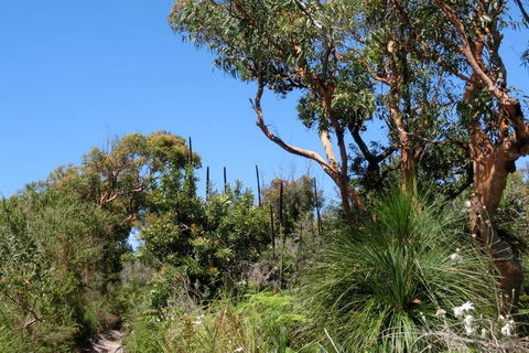 Relaxing Queen Sized Room With En-Suite - Port Augusta Accommodation 3