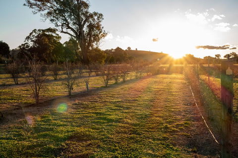 Riverview Farm & Guesthouse - Port Augusta Accommodation 3