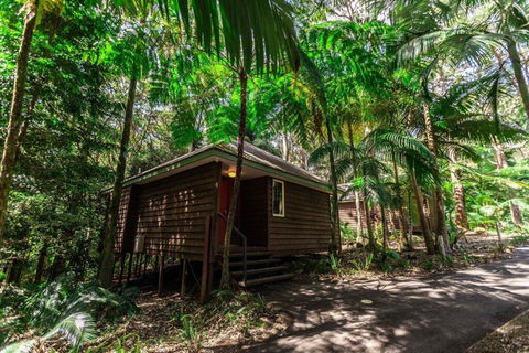 Songbirds Rainforest Retreat - Port Augusta Accommodation 2
