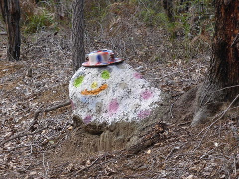 Splendid Wren Cottage - Port Augusta Accommodation 3