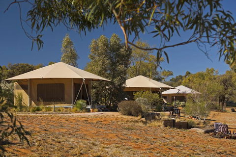 Squeakywindmill Boutique Tent B&B - Port Augusta Accommodation 0