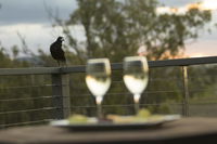 Book Forest Hill Accommodation Vacations Port Augusta Accommodation Port Augusta Accommodation