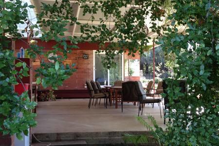 Sue's Sanctuary - Port Augusta Accommodation 1