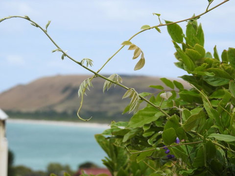 Ellie\'s Cottages - Port Augusta Accommodation 3
