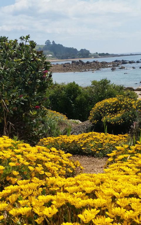 Penguin Beach House - Port Augusta Accommodation 18