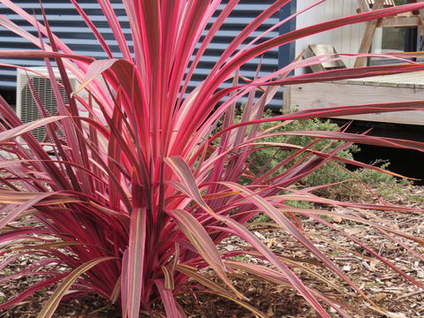 Captain Cook Holiday Park - Port Augusta Accommodation 15