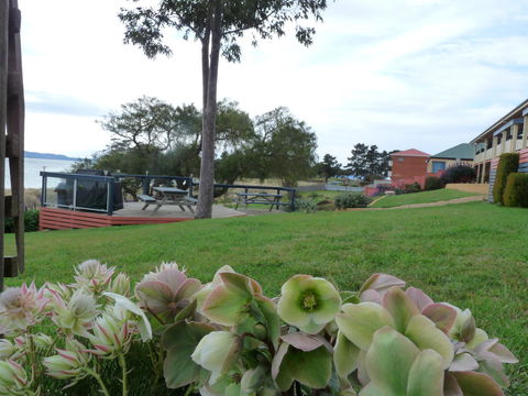 Swansea Motor Inn Tasmania - Port Augusta Accommodation 17