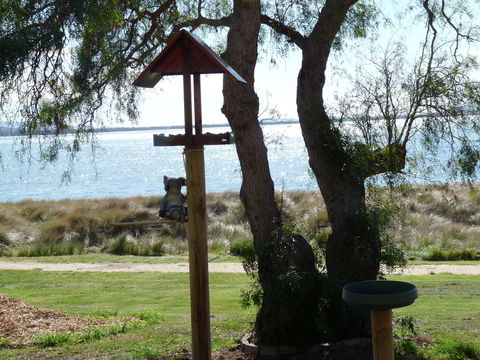 Swansea Motor Inn Tasmania - Port Augusta Accommodation 20