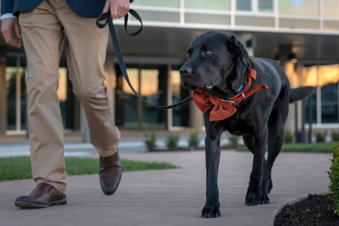 Peppers Silo - Port Augusta Accommodation 44
