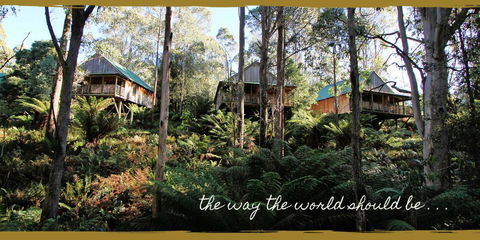 Lemonthyme Wilderness Retreat - Port Augusta Accommodation 20