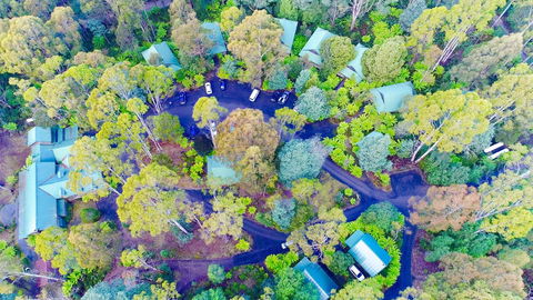 Lemonthyme Wilderness Retreat - Port Augusta Accommodation 1