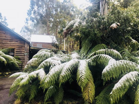 Lemonthyme Wilderness Retreat - Port Augusta Accommodation 5