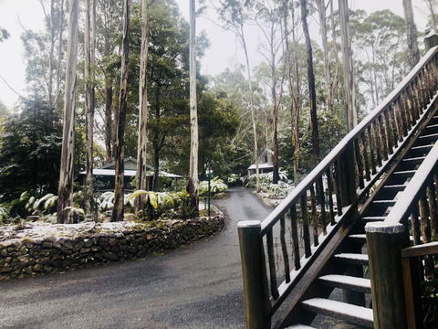 Lemonthyme Wilderness Retreat - Port Augusta Accommodation 15