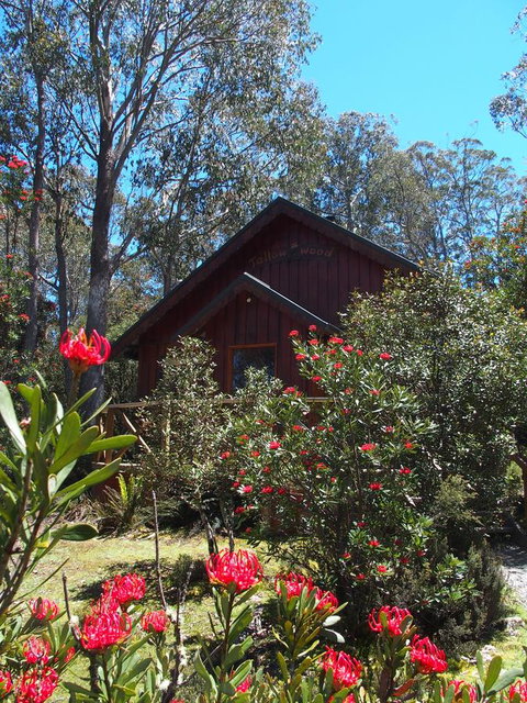 Cradle Highlander - Port Augusta Accommodation 0