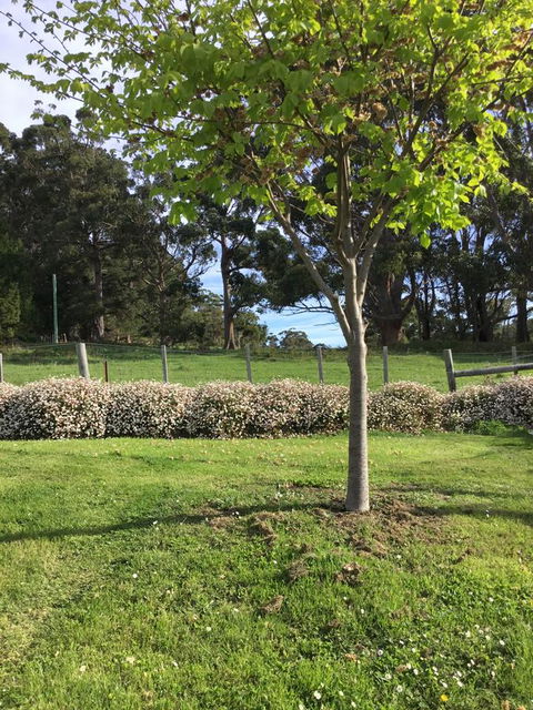Nextdoor@portarthur - Port Augusta Accommodation 17