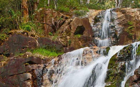 Marysville Caravan And Holiday Park - Port Augusta Accommodation 37