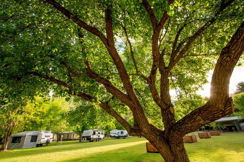 Discovery Parks - Bright - Port Augusta Accommodation 31