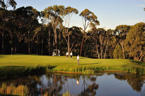 RACV Goldfields Resort - Port Augusta Accommodation 31