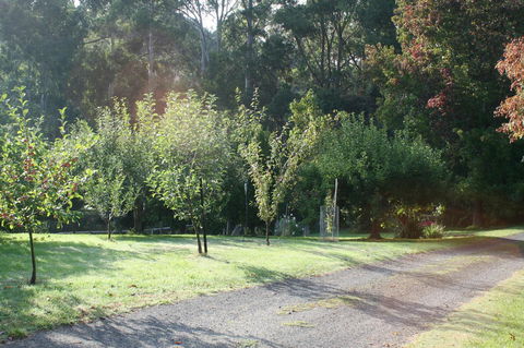 Strathmore Farm B&B - Port Augusta Accommodation 33