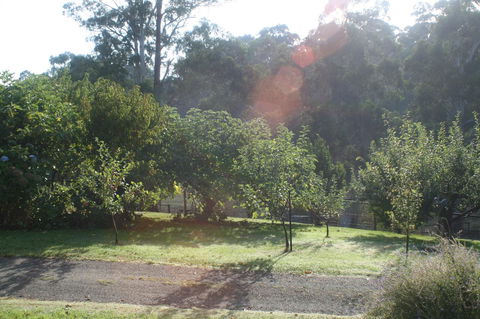 Strathmore Farm B&B - Port Augusta Accommodation 19